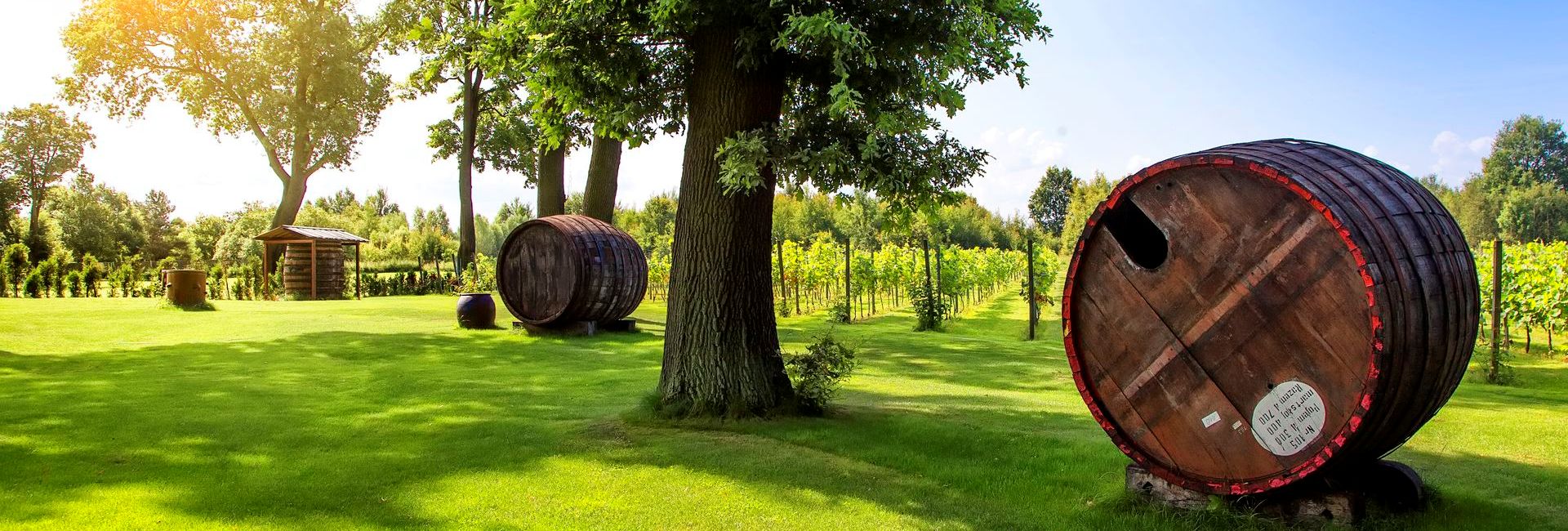 Big barrels on the lawn with vineyards in the background, Wiechlice Palace in Silesia