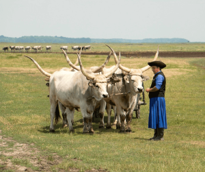 Hortobágy National Park