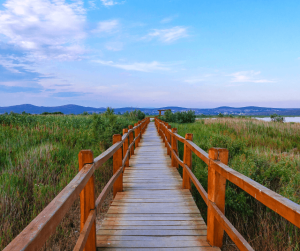 Nature Park Vrana Lake