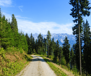 Tauern Cycle Trail 