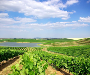 Alentejo Wine Region