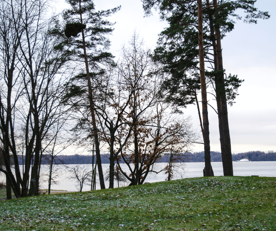 Kaunas Lagoon Regional Park - details