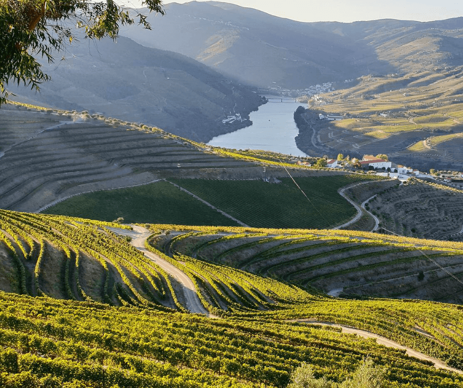 Douro Valley