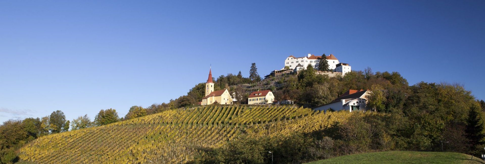 Kapfenstein Castle with vinyards in autumn