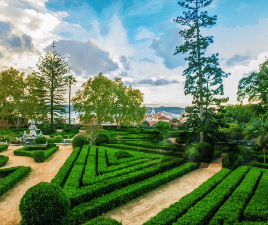 Ajuda Botanical Garden, Portugal_ Tropical Wonders in Lisbon