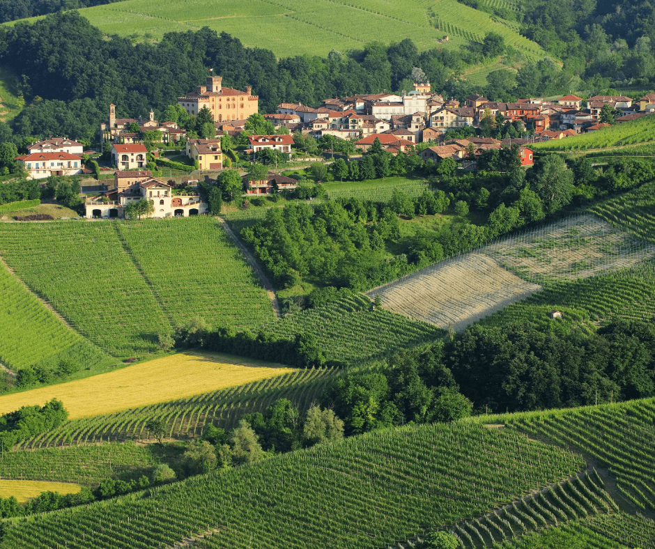 Italy's Grape Harvest_ A Journey Through Tuscany, Trentino Alto Adige, and Piedmont