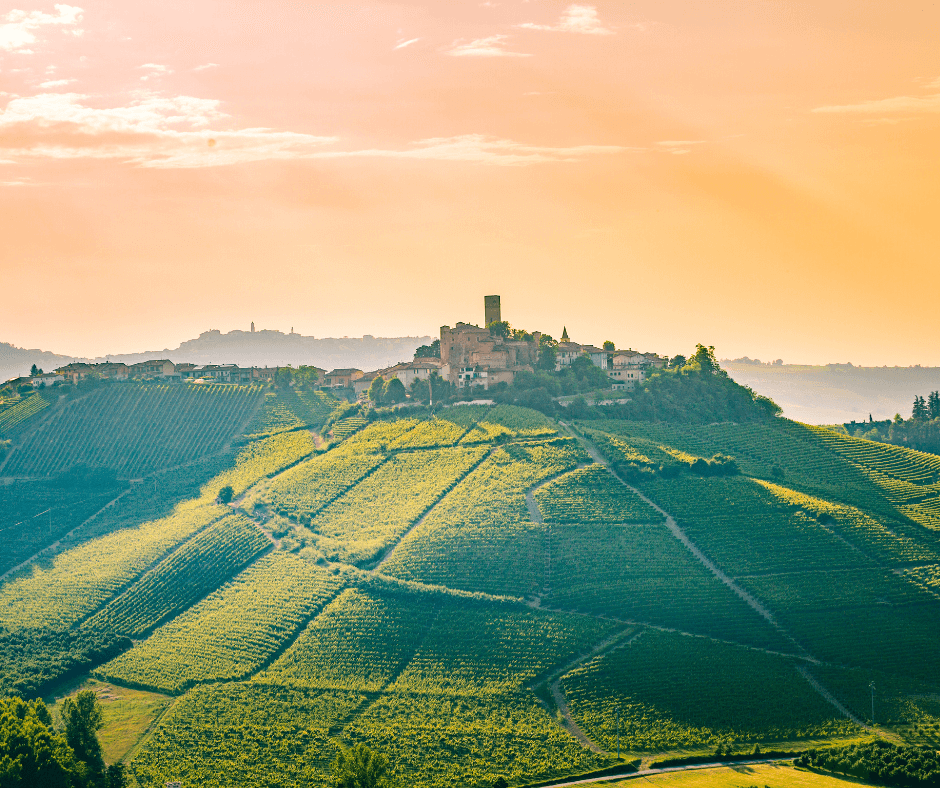 Italy's Grape Harvest_ A Journey Through Tuscany, Trentino Alto Adige, and Piedmont