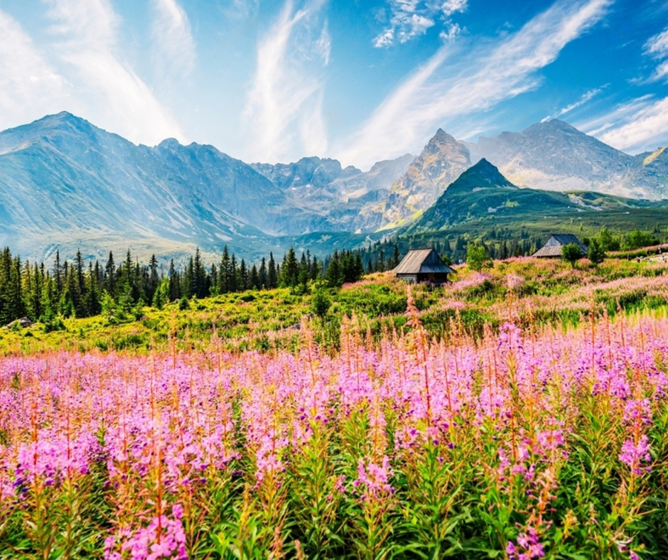 Spring Travel Destinations in Poland