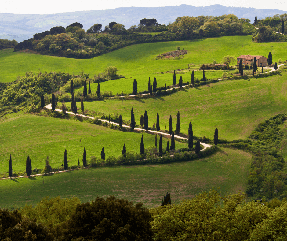 Italy – A Drive Through Art, Wine, and Rolling Hills 