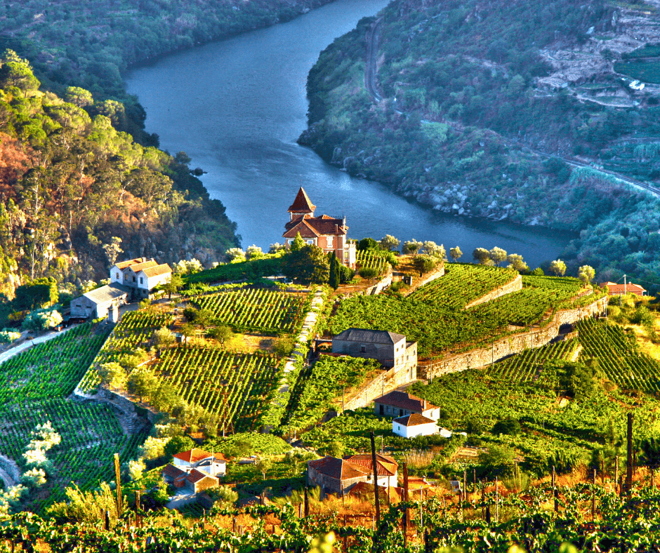 Golden Days in Portugal: Discover the Magic of Autumn from Porto to Lisbon