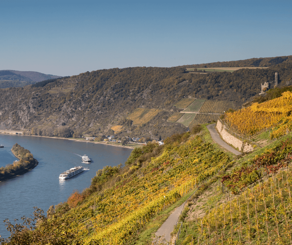 Germany Rhine Valley and Franconia Weinfeste