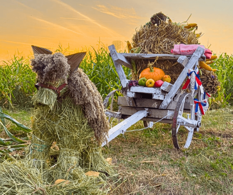 Harvest Fairs and Village Traditions