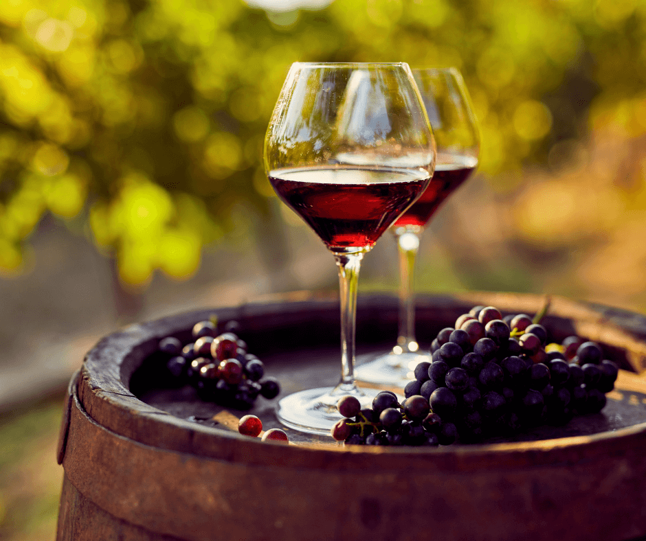 Harvesting Heritage – Wine & Grape Festivals in Central Europe