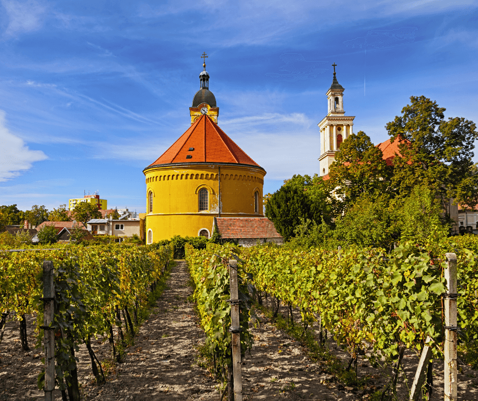 Slovakia_ Intimate Harvest Charm