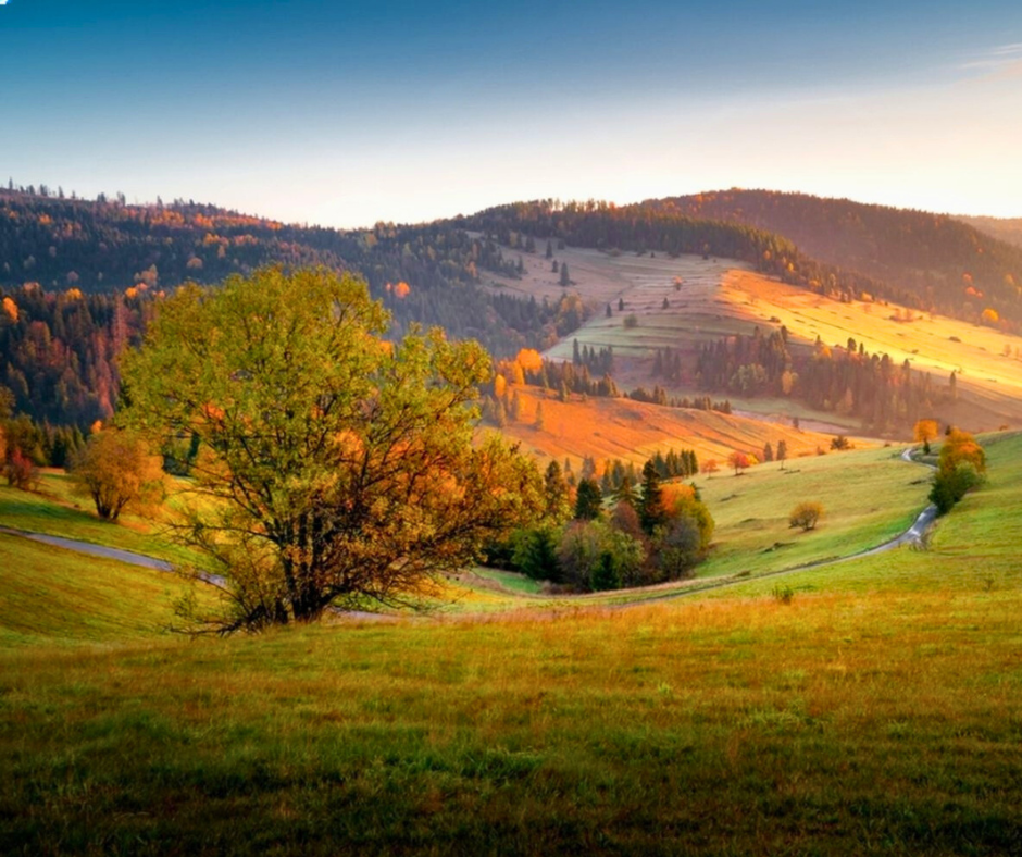 Osturňa Life Along the Polish Border