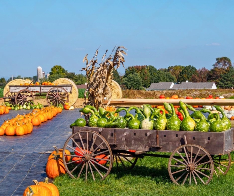 Traditional Fairs and Autumn Life