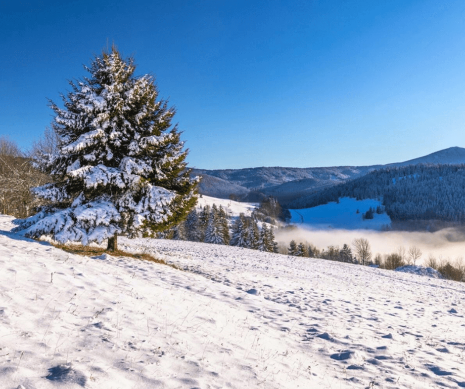 Orava region lake winter