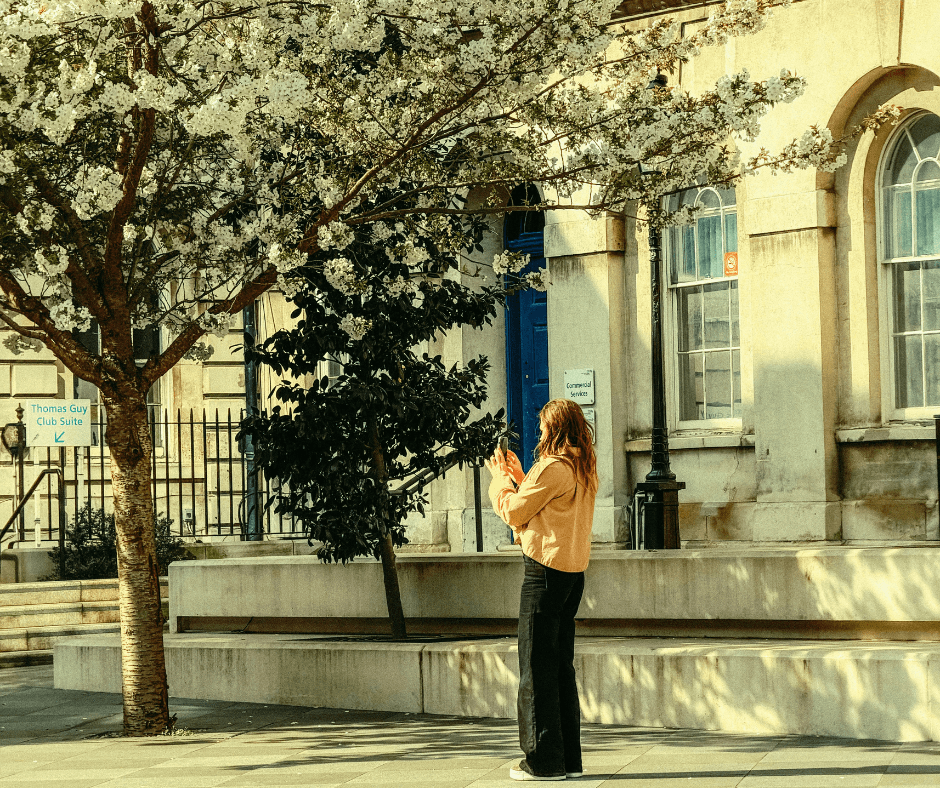 Great Britain_ Countryside and Timeless Charm (2)