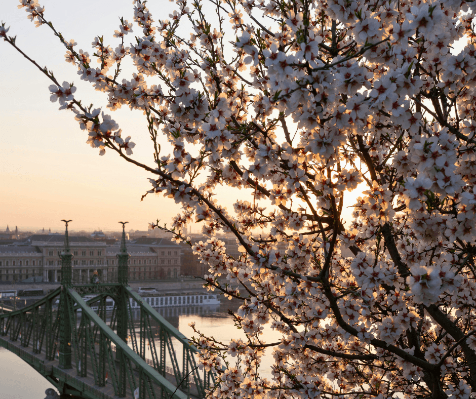 Hungary_ Wellness and Historic Elegance