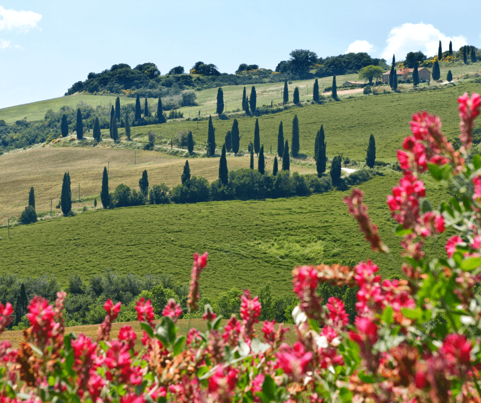 Italy_ Slow Living and Timeless Landscapes