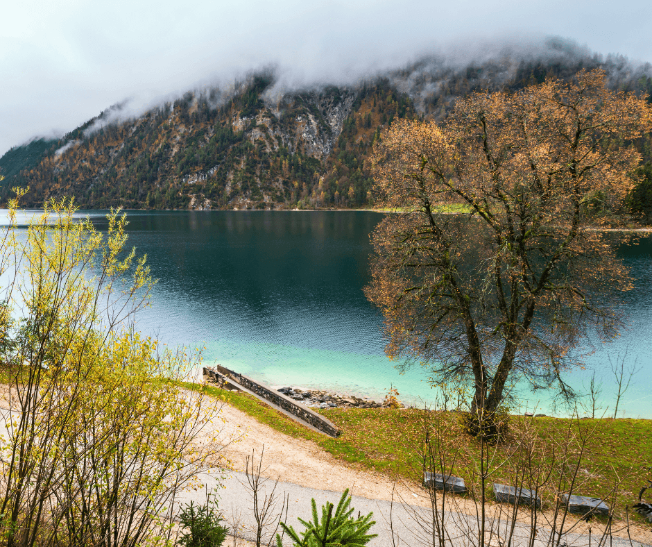 Austria_ Alpine Forests, Lakes and Golden Landscapes