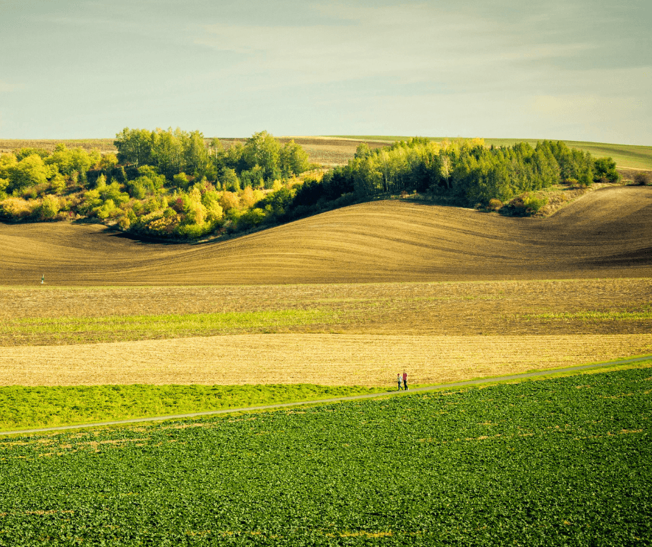 Czech Republic_ Forests, Castles and the Landscapes of South Moravia