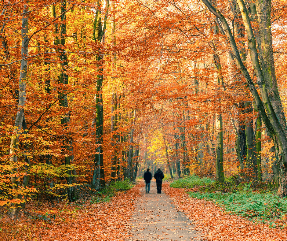 Why Autumn Is the Perfect Season for a Central European Escape